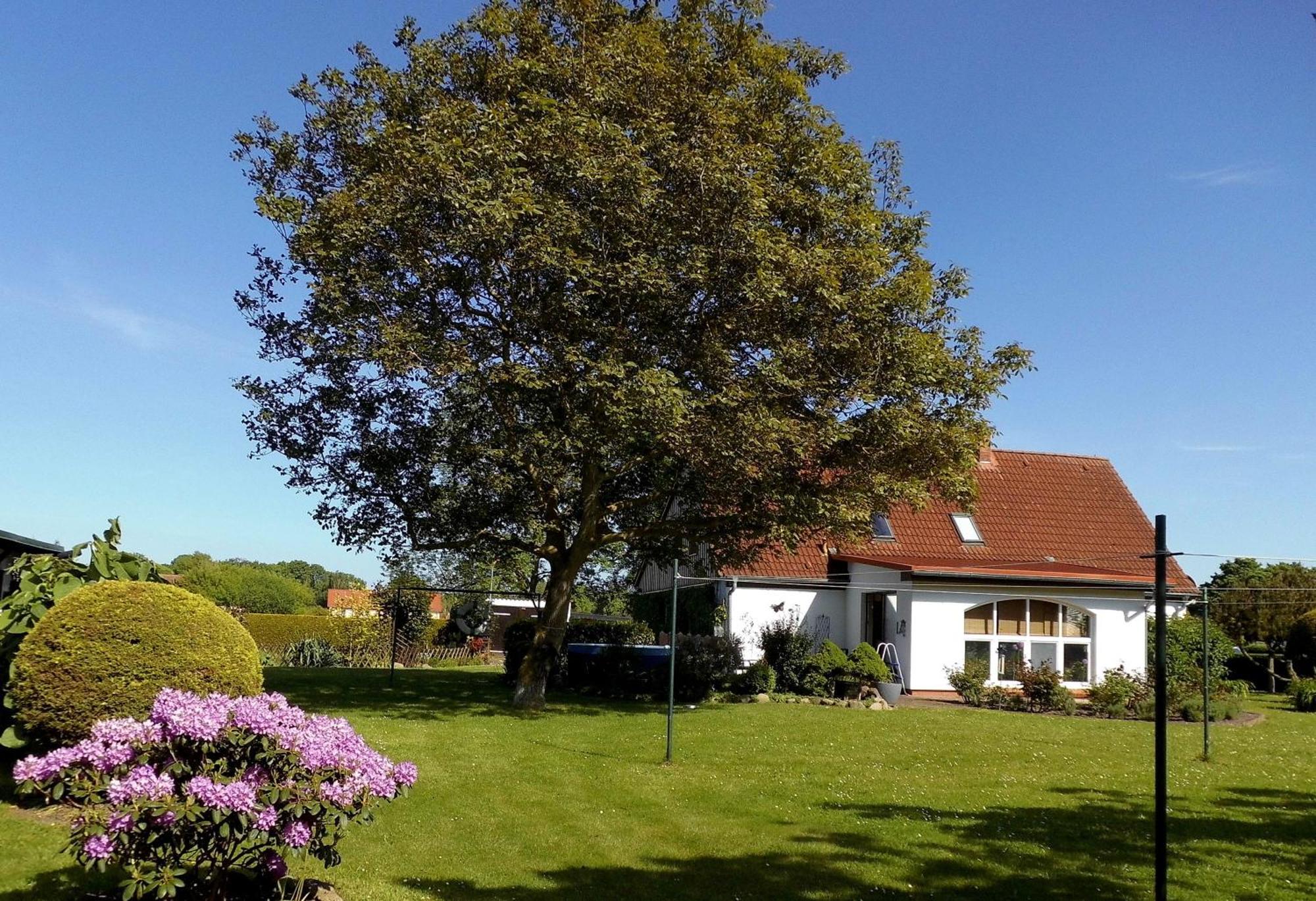 Bungalow und Ferienwohnung auf Rügen Kluis Exterior foto